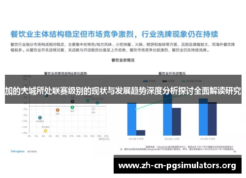 加的夫城所处联赛级别的现状与发展趋势深度分析探讨全面解读研究